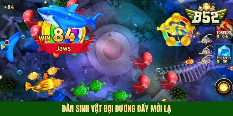 Dàn sinh vật đại dương đầy mới lạ