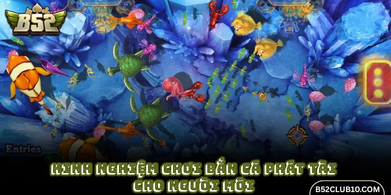 Kinh nghiệm chơi bắn cá phát tài cho người mới